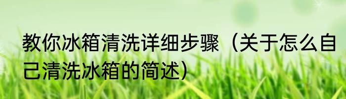 教你冰箱清洗详细步骤（关于怎么自己清洗冰箱的简述）