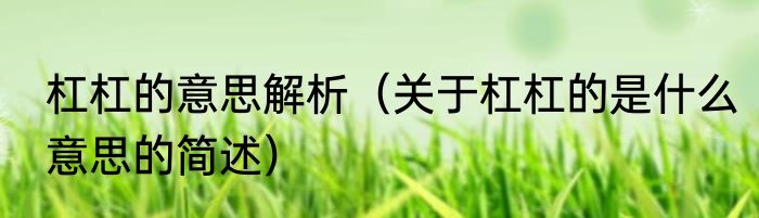 杠杠的意思解析（关于杠杠的是什么意思的简述）