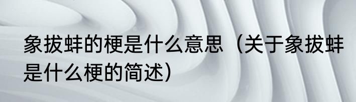 象拔蚌的梗是什么意思（关于象拔蚌是什么梗的简述）