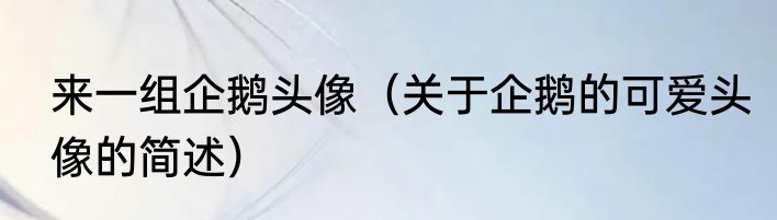 来一组企鹅头像（关于企鹅的可爱头像的简述）