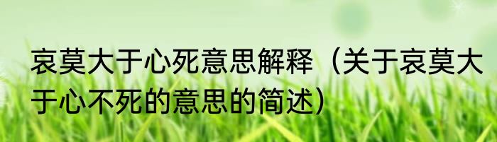 哀莫大于心死意思解释（关于哀莫大于心不死的意思的简述）