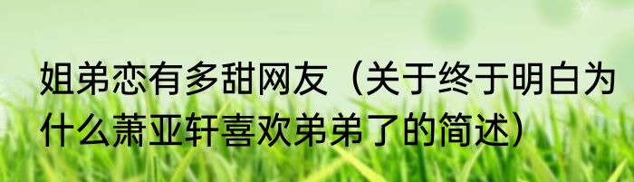 姐弟恋有多甜网友（关于终于明白为什么萧亚轩喜欢弟弟了的简述）