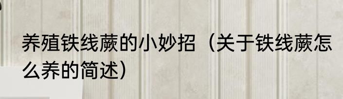 养殖铁线蕨的小妙招（关于铁线蕨怎么养的简述）