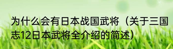 为什么会有日本战国武将（关于三国志12日本武将全介绍的简述）