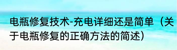 电瓶修复技术-充电详细还是简单（关于电瓶修复的正确方法的简述）