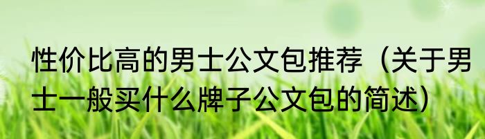 性价比高的男士公文包推荐（关于男士一般买什么牌子公文包的简述）