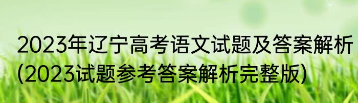 2023年辽宁高考语文试题及答案解析(2023试题参考答案解析完整版)