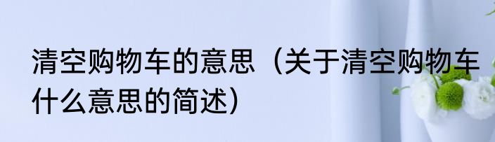 清空购物车的意思（关于清空购物车什么意思的简述）