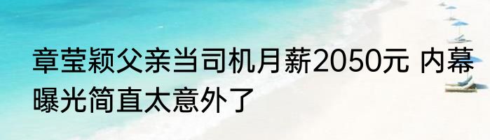 章莹颖父亲当司机月薪2050元 内幕曝光简直太意外了