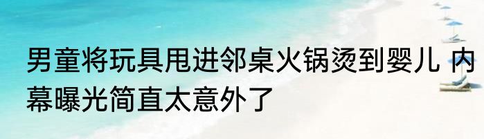 男童将玩具甩进邻桌火锅烫到婴儿 内幕曝光简直太意外了