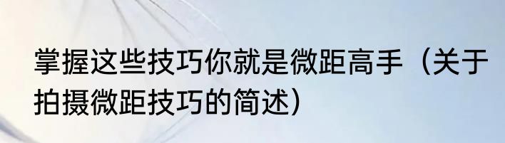 掌握这些技巧你就是微距高手（关于拍摄微距技巧的简述）