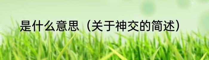 是什么意思（关于神交的简述）