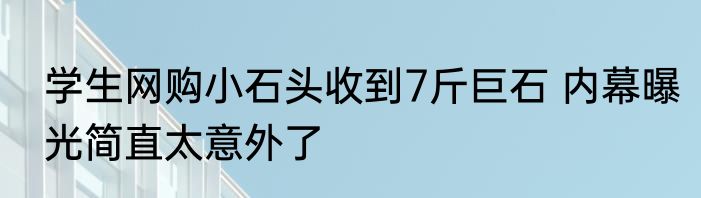 学生网购小石头收到7斤巨石 内幕曝光简直太意外了