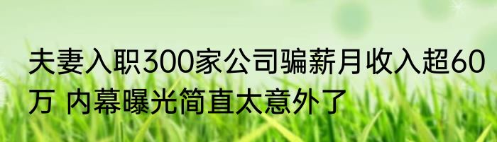 夫妻入职300家公司骗薪月收入超60万 内幕曝光简直太意外了
