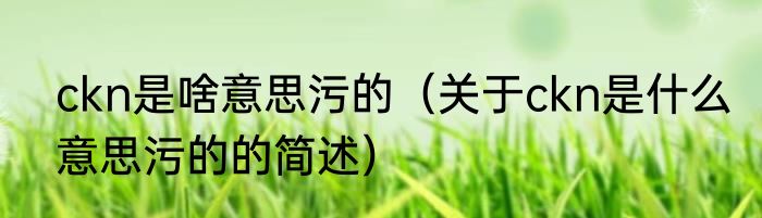 ckn是啥意思污的（关于ckn是什么意思污的的简述）