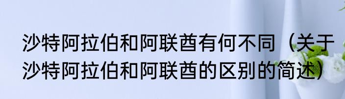 沙特阿拉伯和阿联酋有何不同（关于沙特阿拉伯和阿联酋的区别的简述）