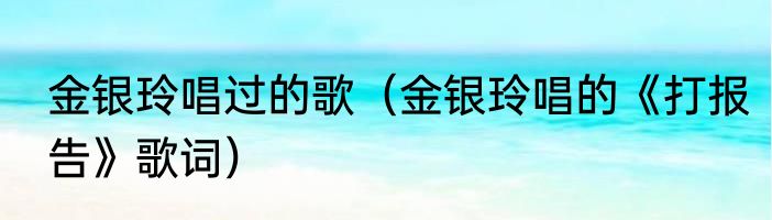 金银玲唱过的歌（金银玲唱的《打报告》歌词）