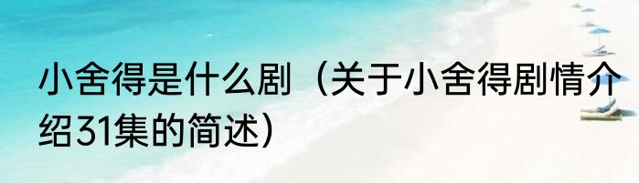 小舍得是什么剧（关于小舍得剧情介绍31集的简述）