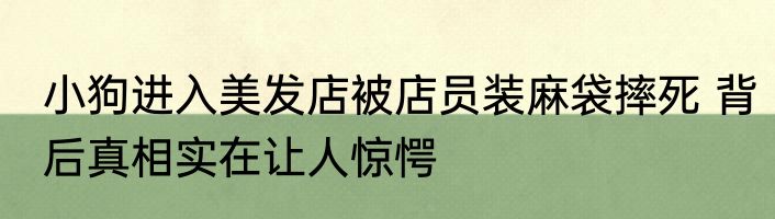 小狗进入美发店被店员装麻袋摔死 背后真相实在让人惊愕
