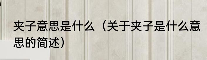 夹子意思是什么（关于夹子是什么意思的简述）