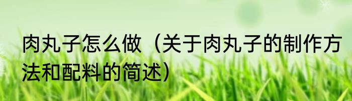 肉丸子怎么做（关于肉丸子的制作方法和配料的简述）
