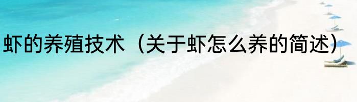 虾的养殖技术（关于虾怎么养的简述）