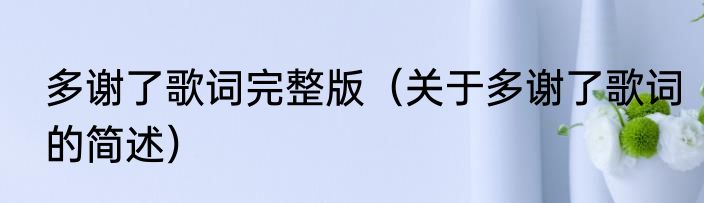 多谢了歌词完整版（关于多谢了歌词的简述）