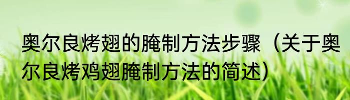 奥尔良烤翅的腌制方法步骤（关于奥尔良烤鸡翅腌制方法的简述）
