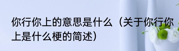 你行你上的意思是什么（关于你行你上是什么梗的简述）