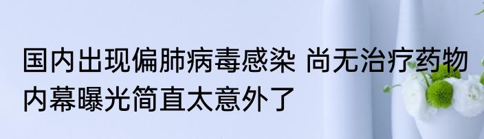 国内出现偏肺病毒感染 尚无治疗药物 内幕曝光简直太意外了