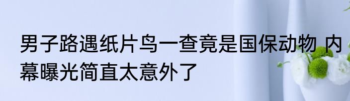 男子路遇纸片鸟一查竟是国保动物 内幕曝光简直太意外了