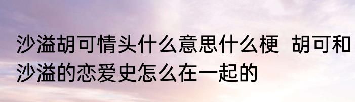 沙溢胡可情头什么意思什么梗  胡可和沙溢的恋爱史怎么在一起的