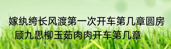 嫁纨绔长风渡第一次开车第几章圆房   顾九思柳玉茹肉肉开车第几章