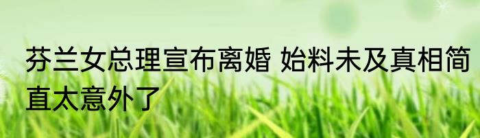芬兰女总理宣布离婚 始料未及真相简直太意外了