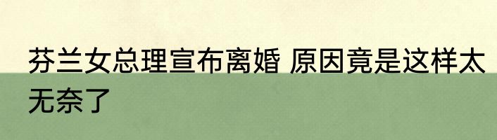 芬兰女总理宣布离婚 原因竟是这样太无奈了