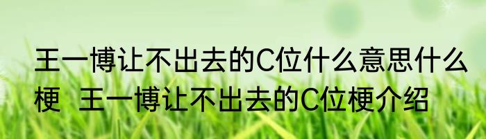 王一博让不出去的C位什么意思什么梗  王一博让不出去的C位梗介绍