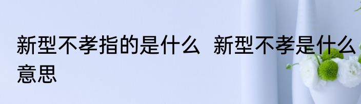 新型不孝指的是什么  新型不孝是什么意思