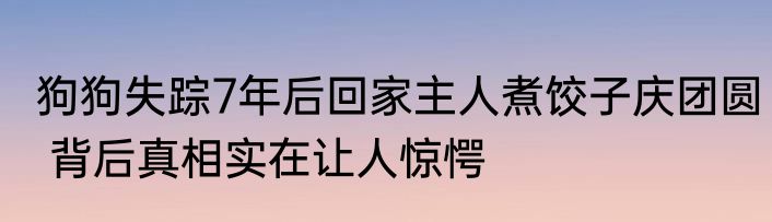 狗狗失踪7年后回家主人煮饺子庆团圆 背后真相实在让人惊愕