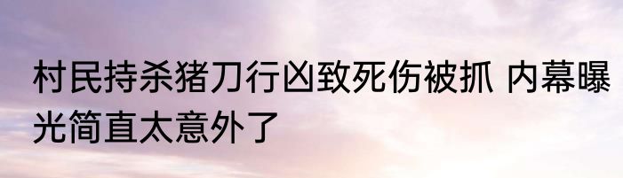 村民持杀猪刀行凶致死伤被抓 内幕曝光简直太意外了