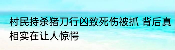 村民持杀猪刀行凶致死伤被抓 背后真相实在让人惊愕