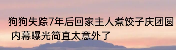 狗狗失踪7年后回家主人煮饺子庆团圆 内幕曝光简直太意外了