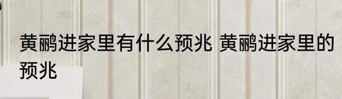 黄鹂进家里有什么预兆 黄鹂进家里的预兆