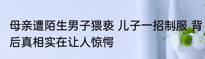 母亲遭陌生男子猥亵 儿子一招制服 背后真相实在让人惊愕