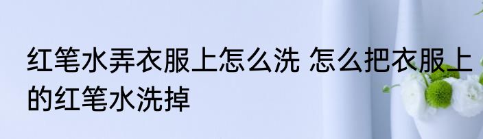 红笔水弄衣服上怎么洗 怎么把衣服上的红笔水洗掉
