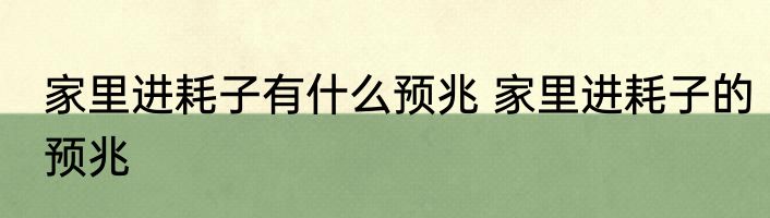 家里进耗子有什么预兆 家里进耗子的预兆