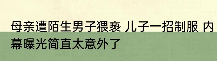 母亲遭陌生男子猥亵 儿子一招制服 内幕曝光简直太意外了