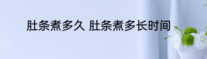 肚条煮多久 肚条煮多长时间