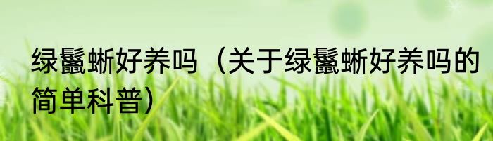 绿鬣蜥好养吗（关于绿鬣蜥好养吗的简单科普）
