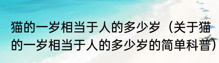 猫的一岁相当于人的多少岁（关于猫的一岁相当于人的多少岁的简单科普）