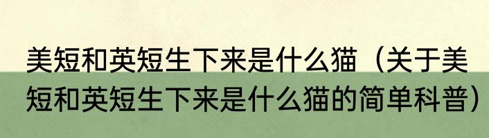 美短和英短生下来是什么猫（关于美短和英短生下来是什么猫的简单科普）